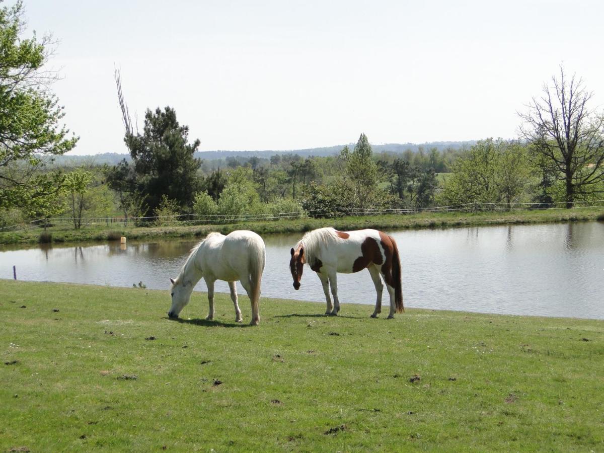 Le Gite Du Gueurlet Boresse-et-Martron Buitenkant foto